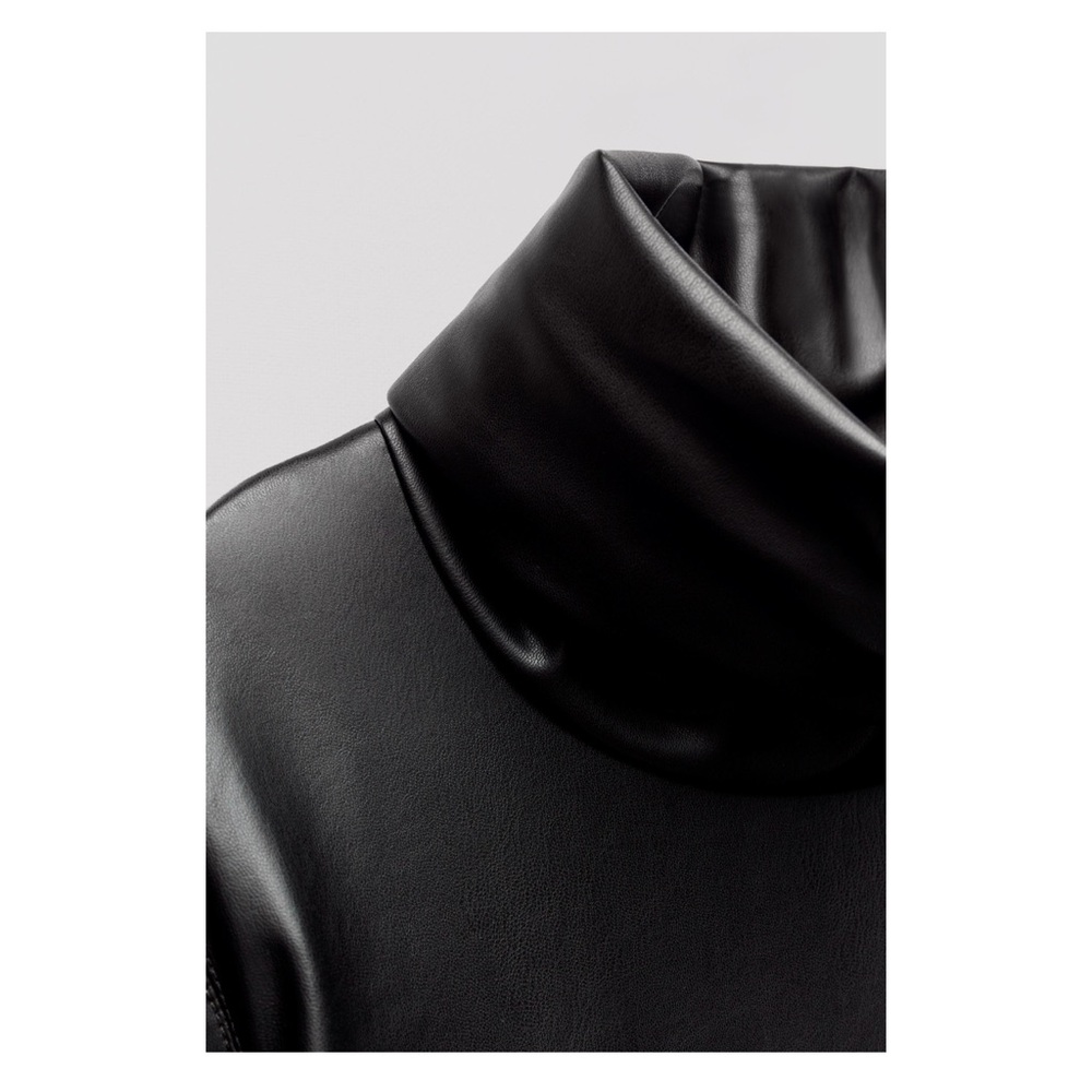 Zara High Collar Minj Dress - Picture 6 of 6